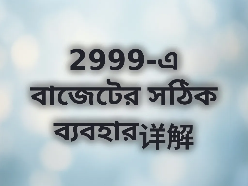 বাজেটের সঠিক ব্যবহার